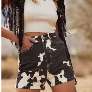 12th tribe midland cow print shorts